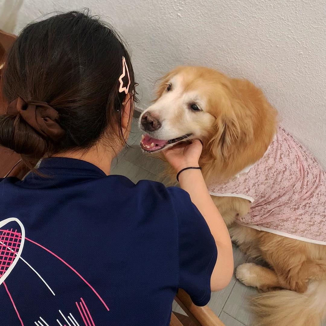 阿雅雅雅雅雅雅🏸️