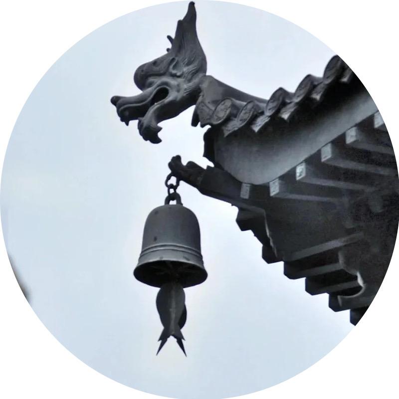 露鹭