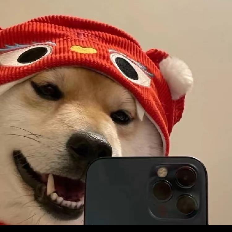 -云雾.