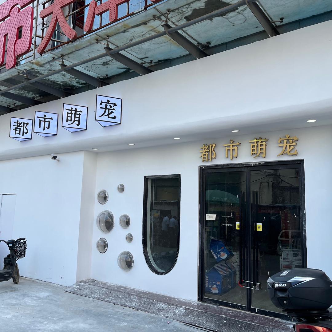 沭阳都市萌宠1