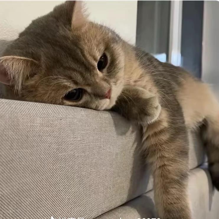 ….