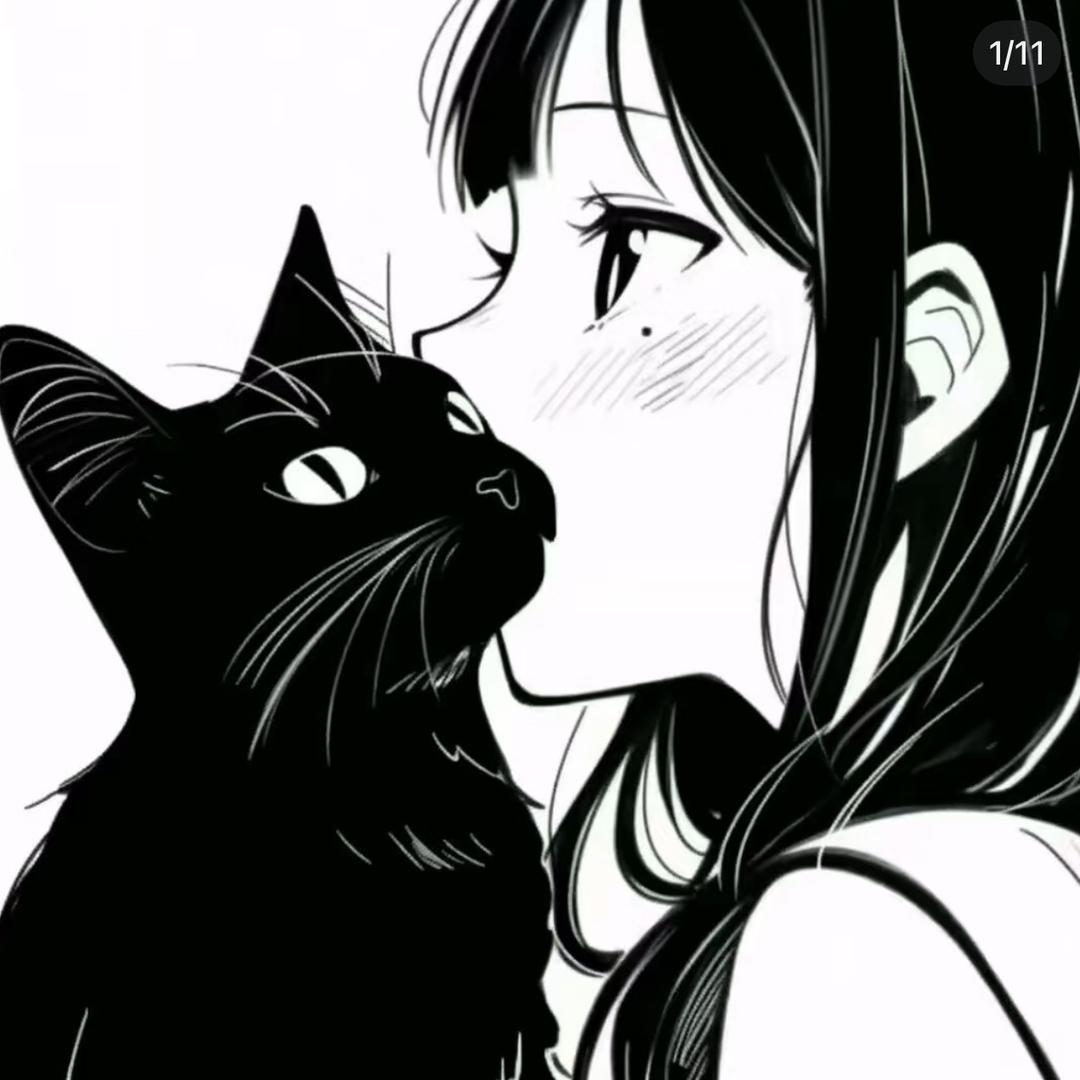 饼饼猫