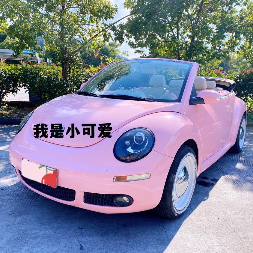 栋栋甲壳虫之家
