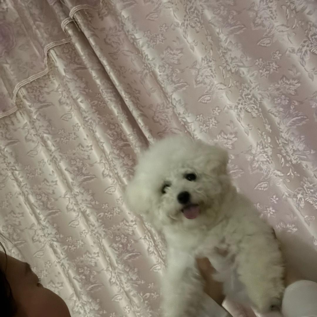 纏壑