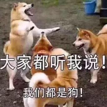 用户913037441803