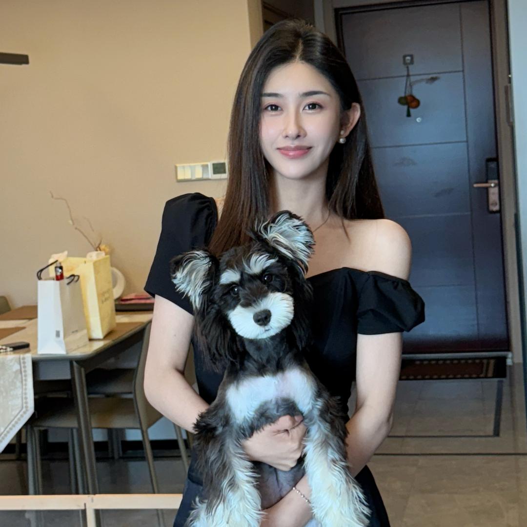 陈陈chen
