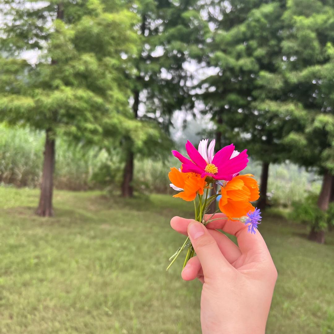 花园路