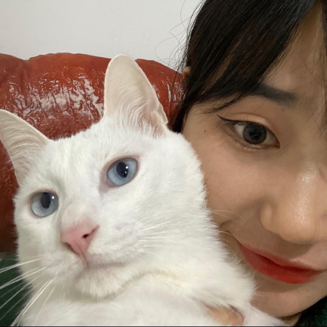水煮美人鱼。