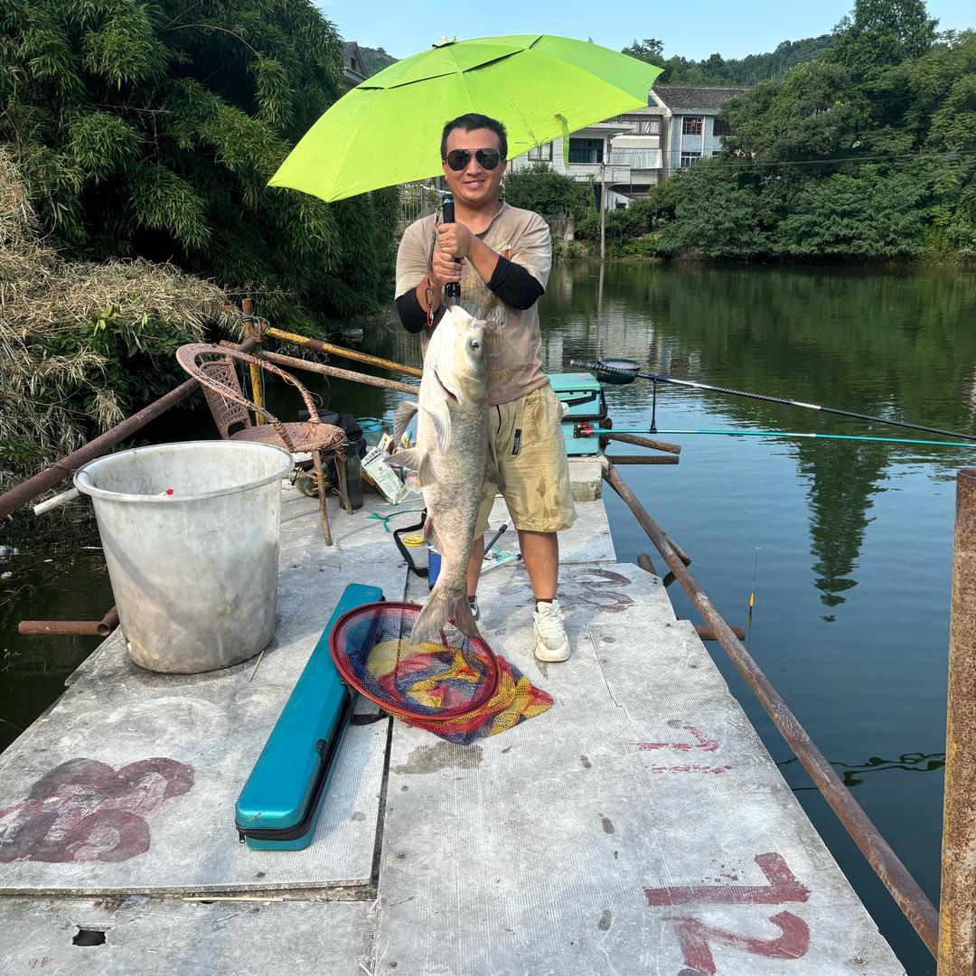 小赵鲢鳙记🐟