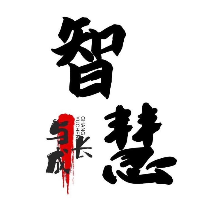 智慧崛起