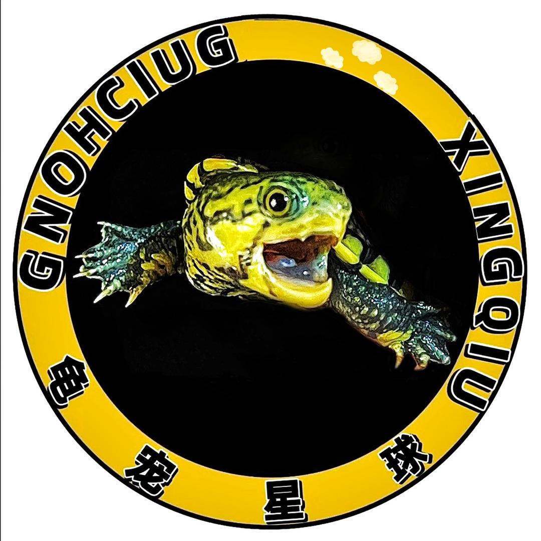 龟宠星球