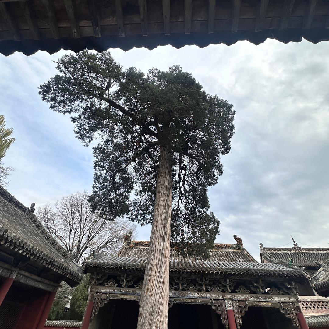 青云志