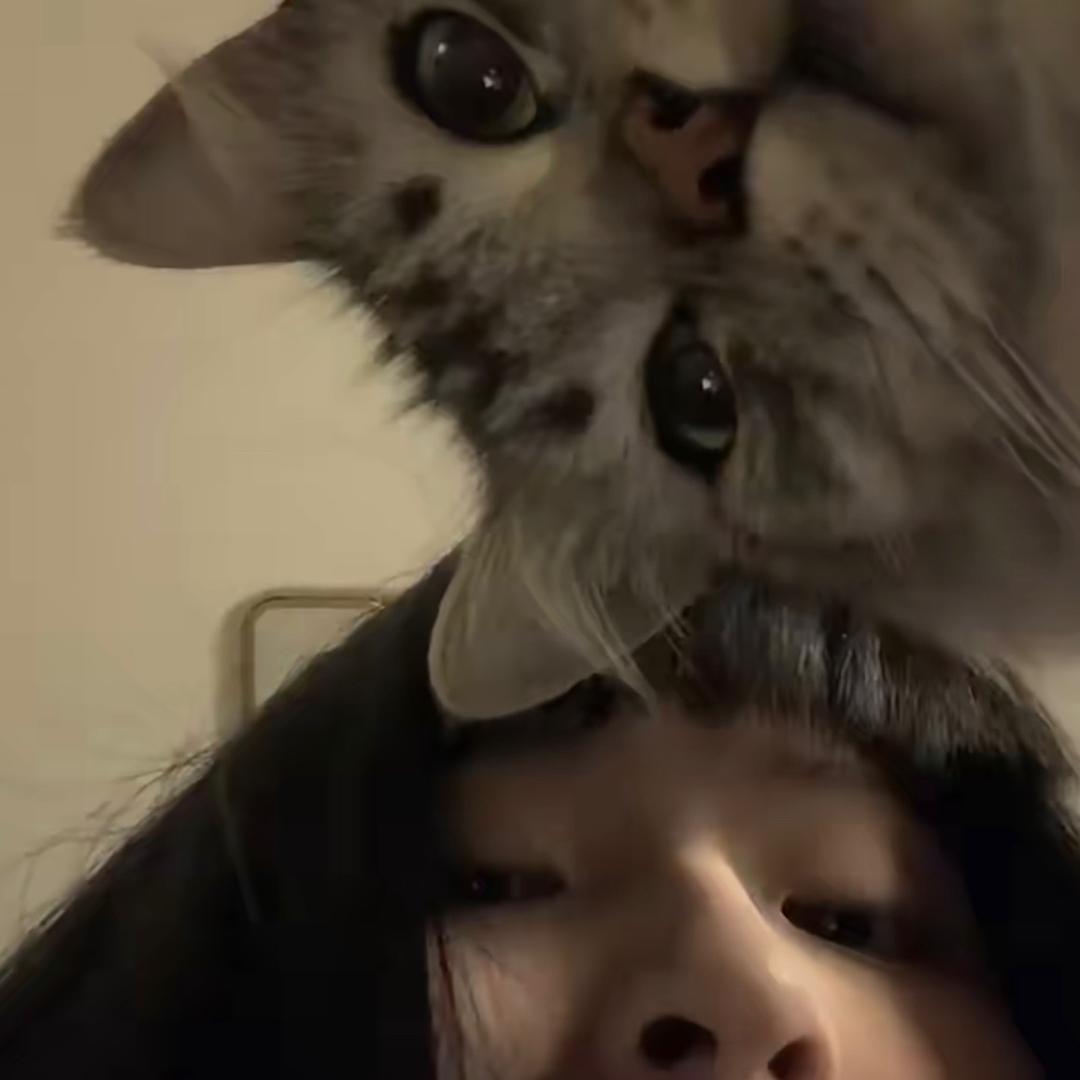 7     .