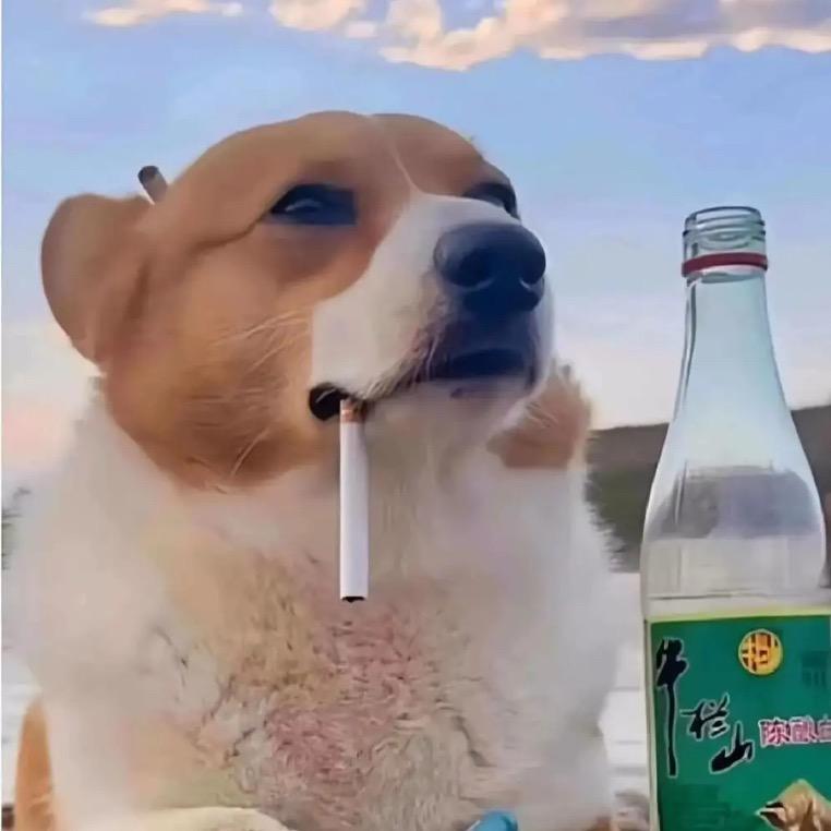 欲与猴子比腚红