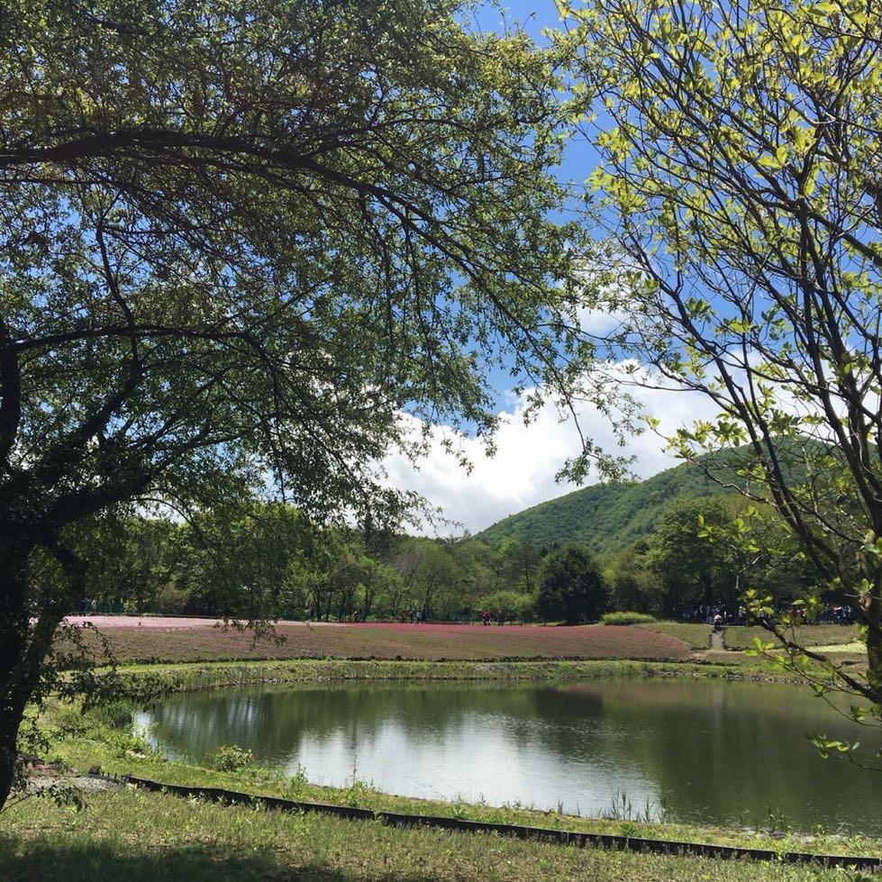 Crazyleaf-疯叶