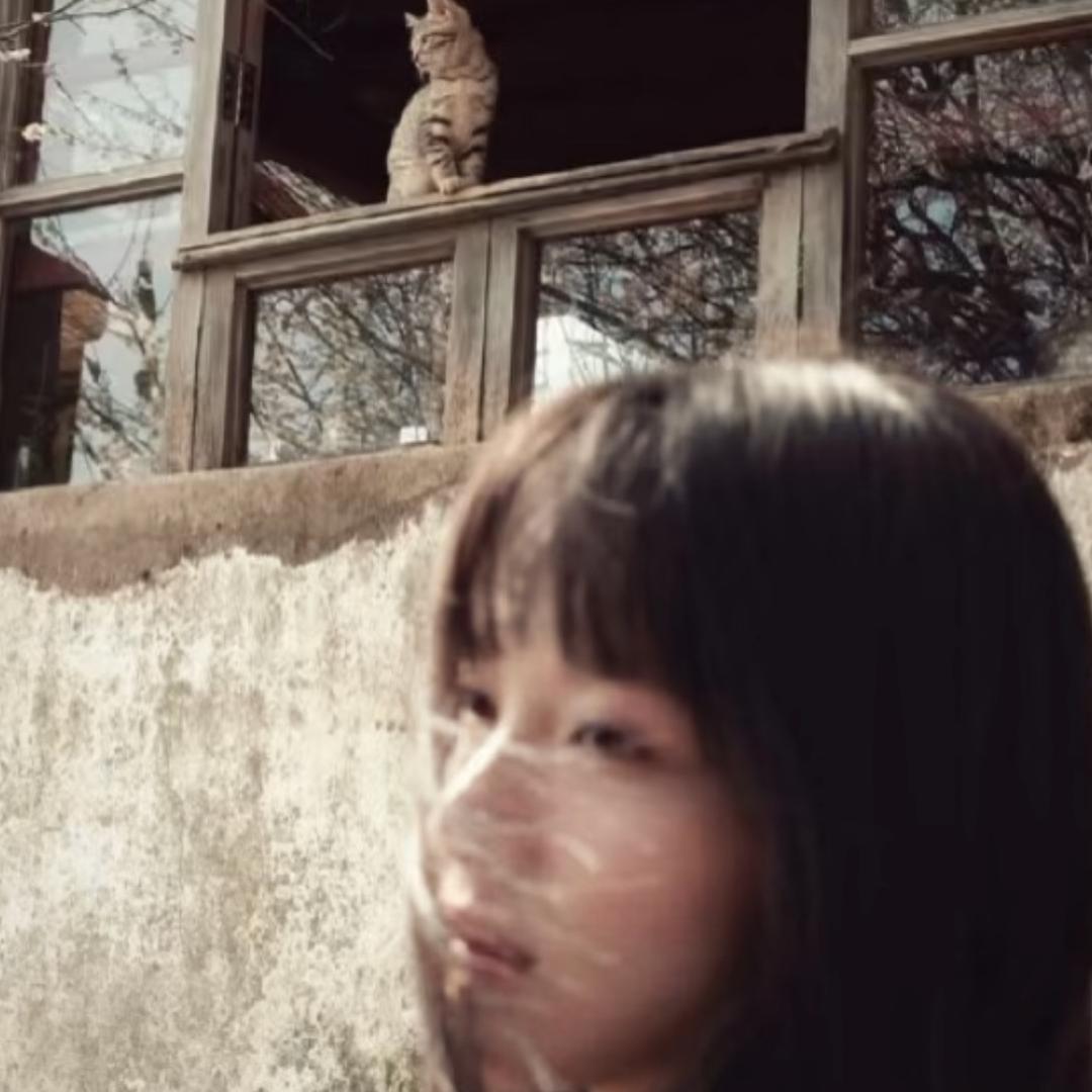 ㅤㅤㅤㅤㅤㅤㅤㅤㅤㅤㅤ你