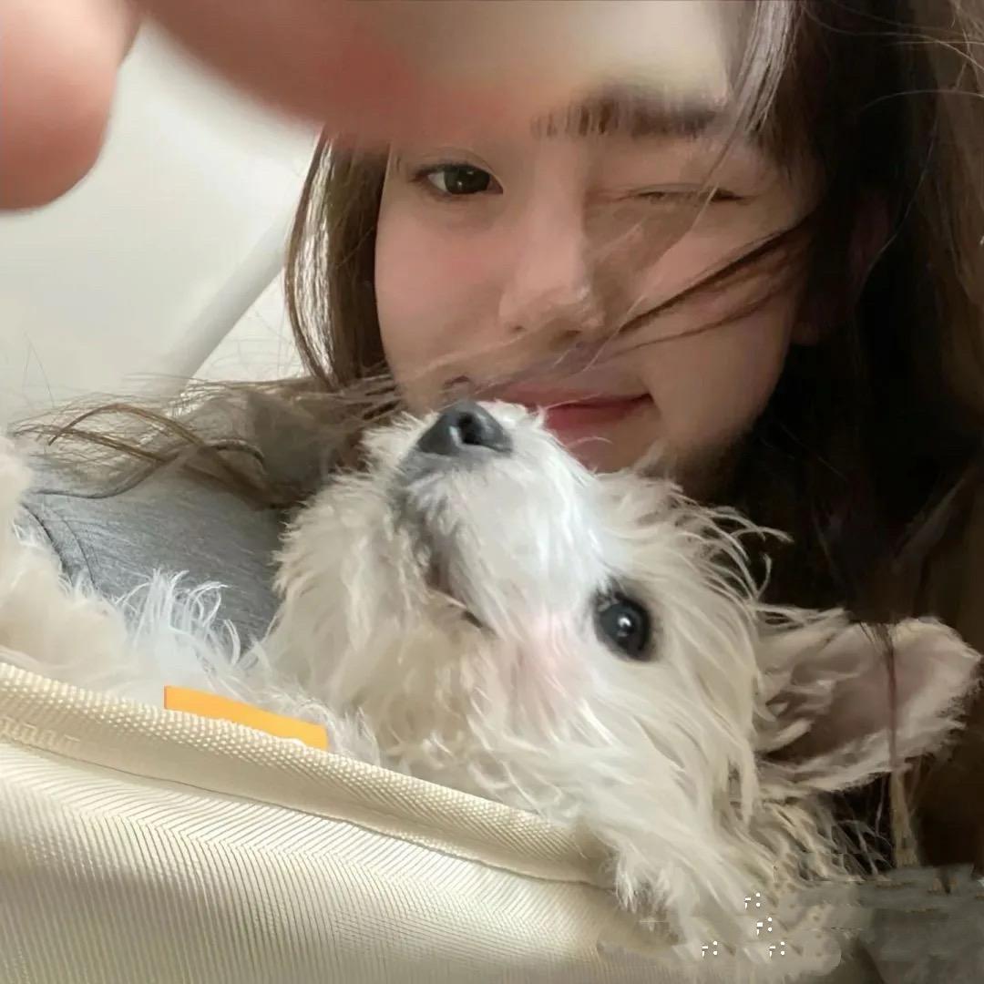 甜崽