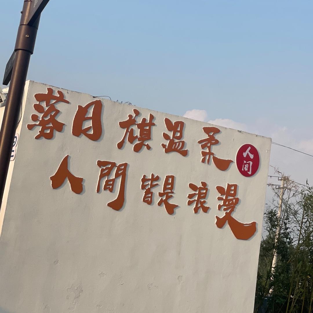 布ding丁