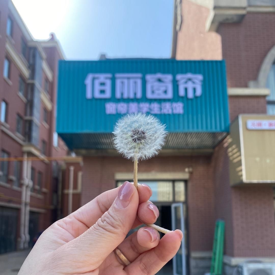 佰丽窗帘