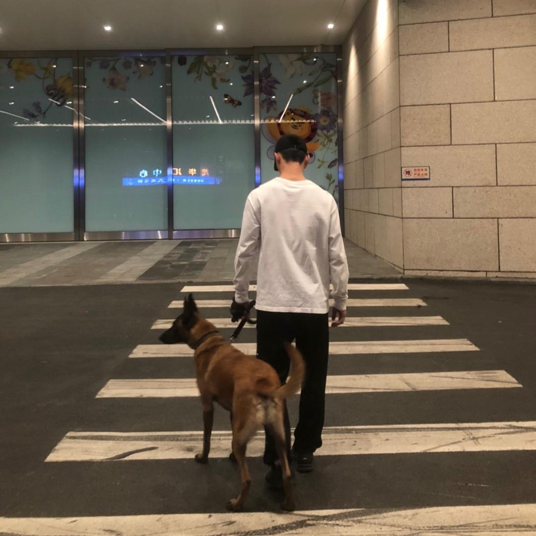 奥特曼不慢的呀