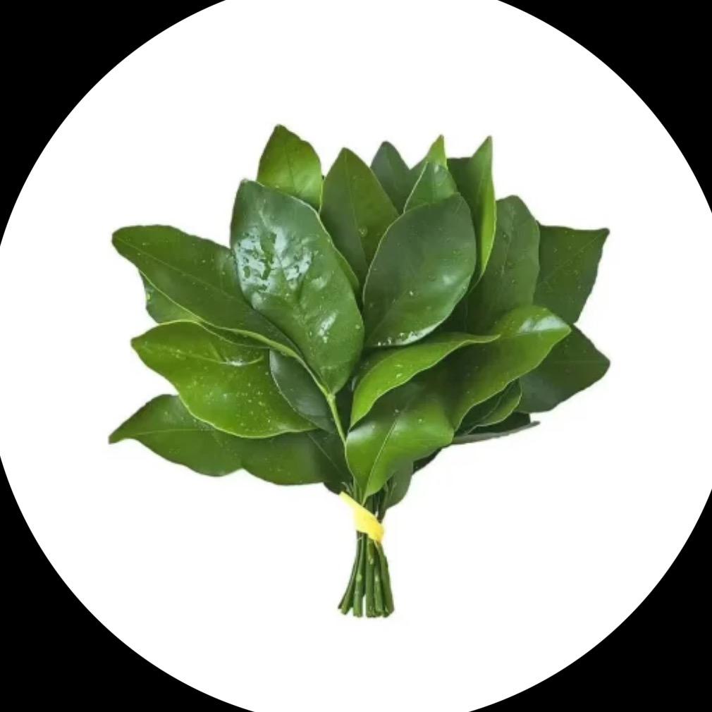 yc