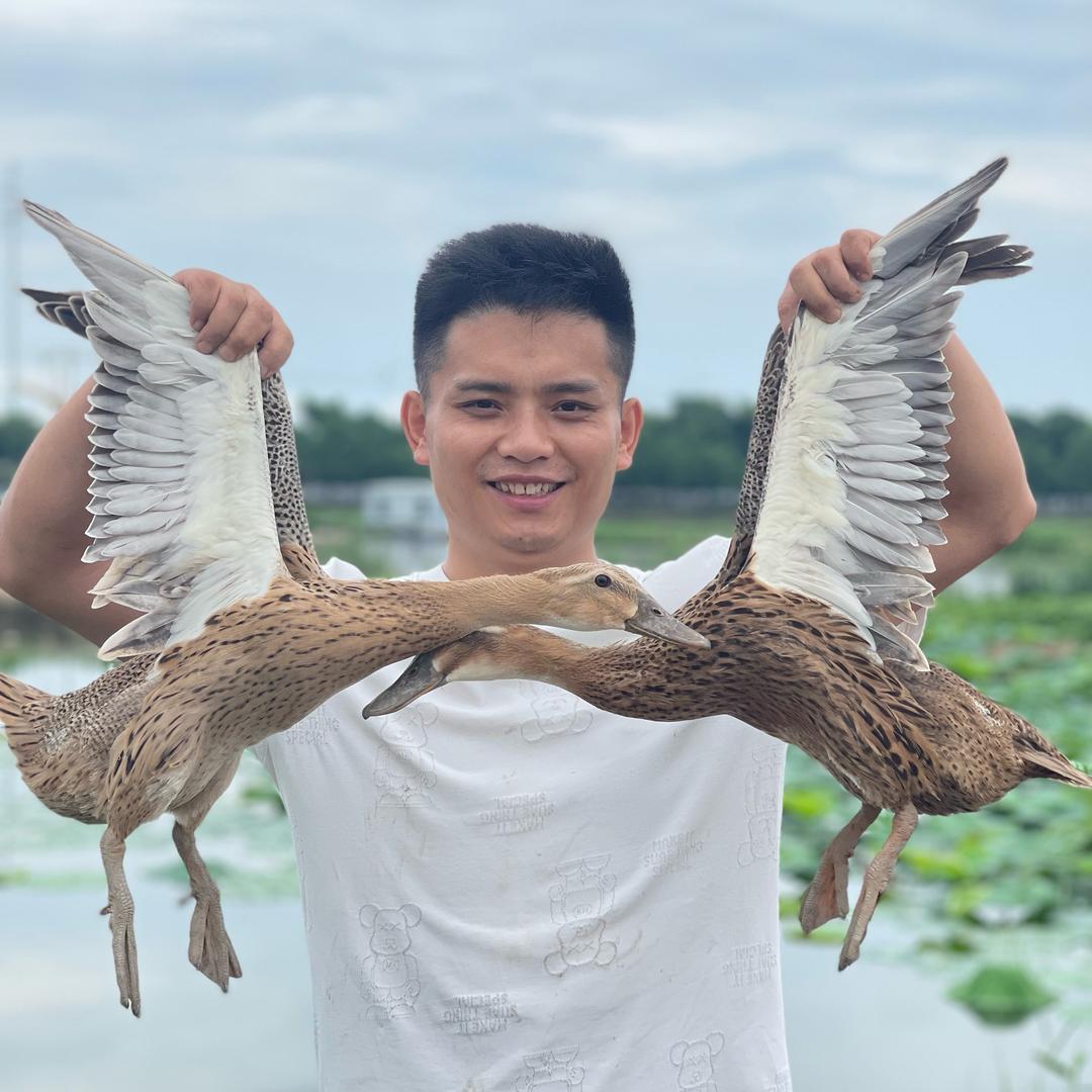 寻味洪湖生鲜店