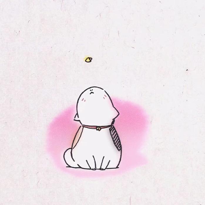王不留行子
