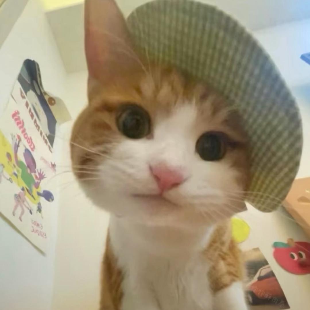 小树驾到 ˃̶͈ ꇴ ˂̶͈