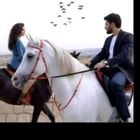 💯💋👀小白兔👀💋💯