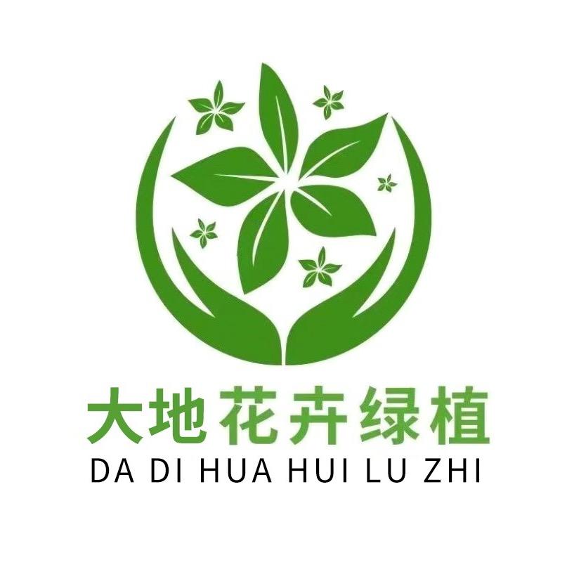 大地瑞哥花卉大绿植