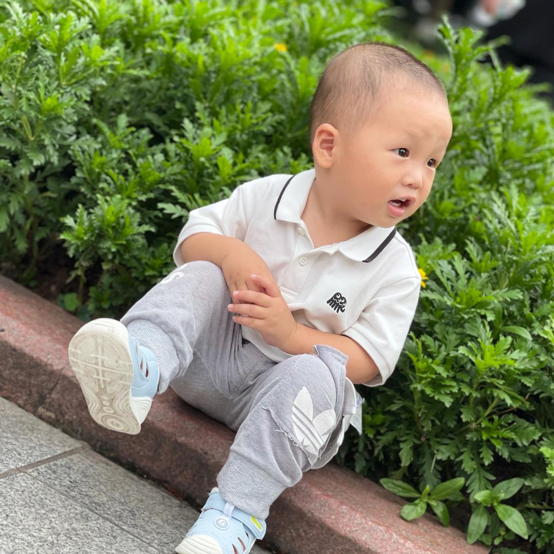 陈凤