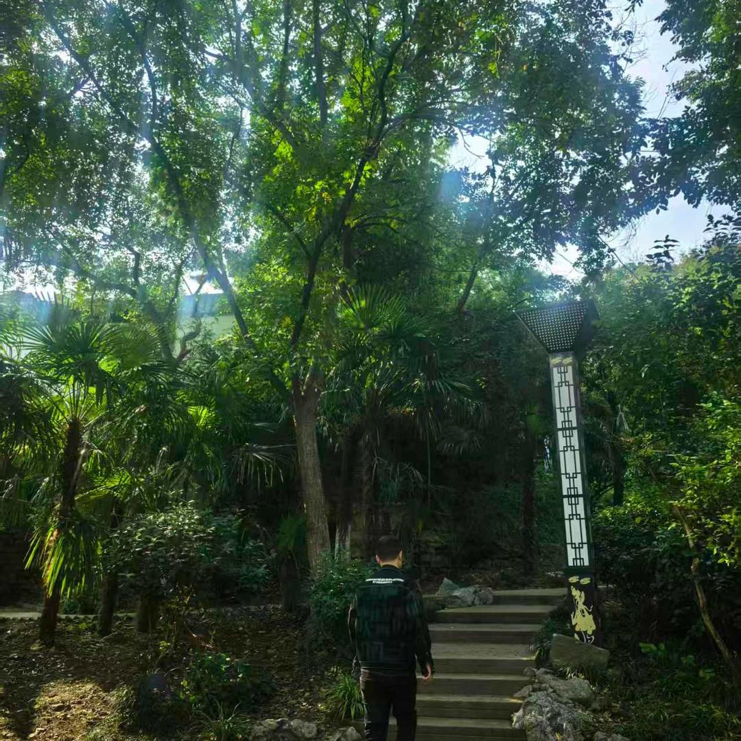 王小雨（在努力）