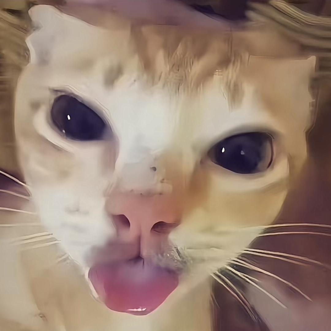 ㅤㅤㅤㅤ
