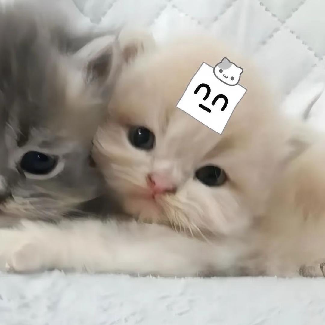 萌的直叹气