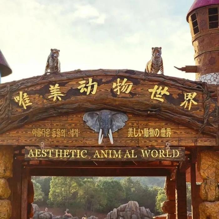 宜春唯美动物世界