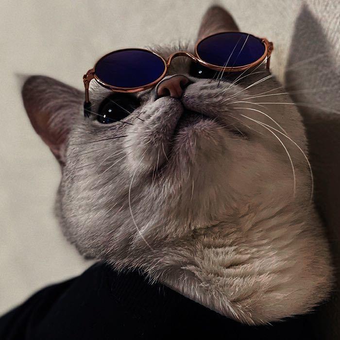 小趴菜，喝不醉