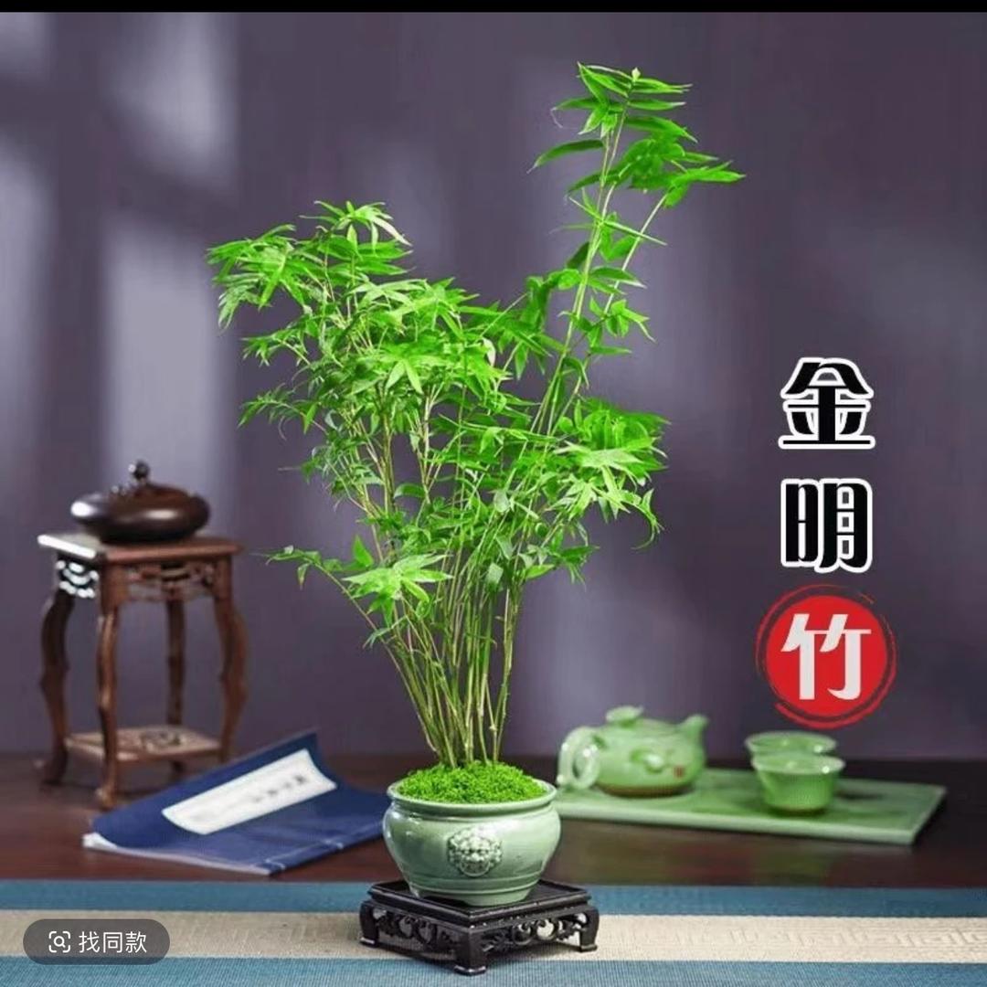 雨萱优选臻品坊