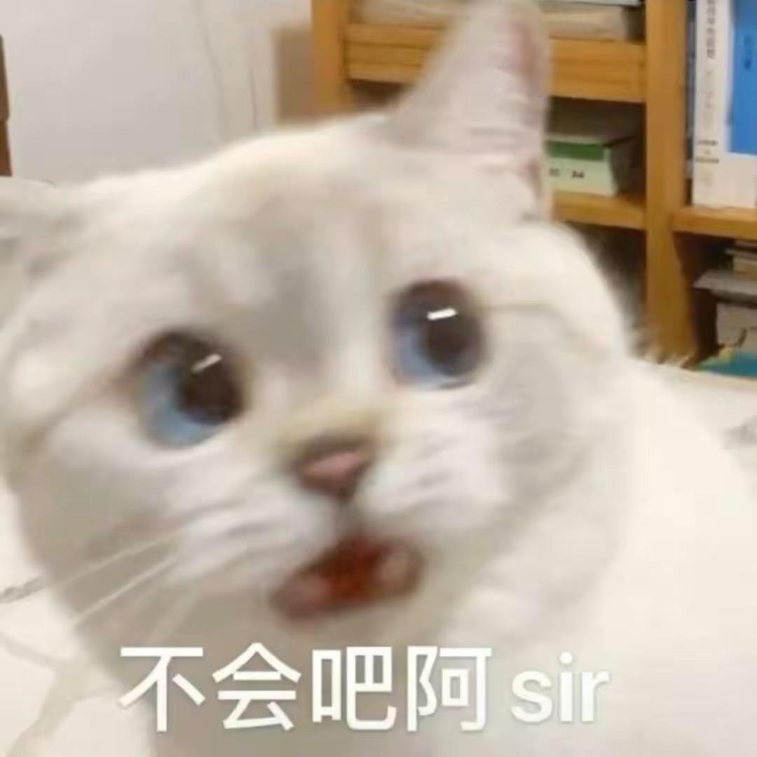 爱泡椒牛肉面