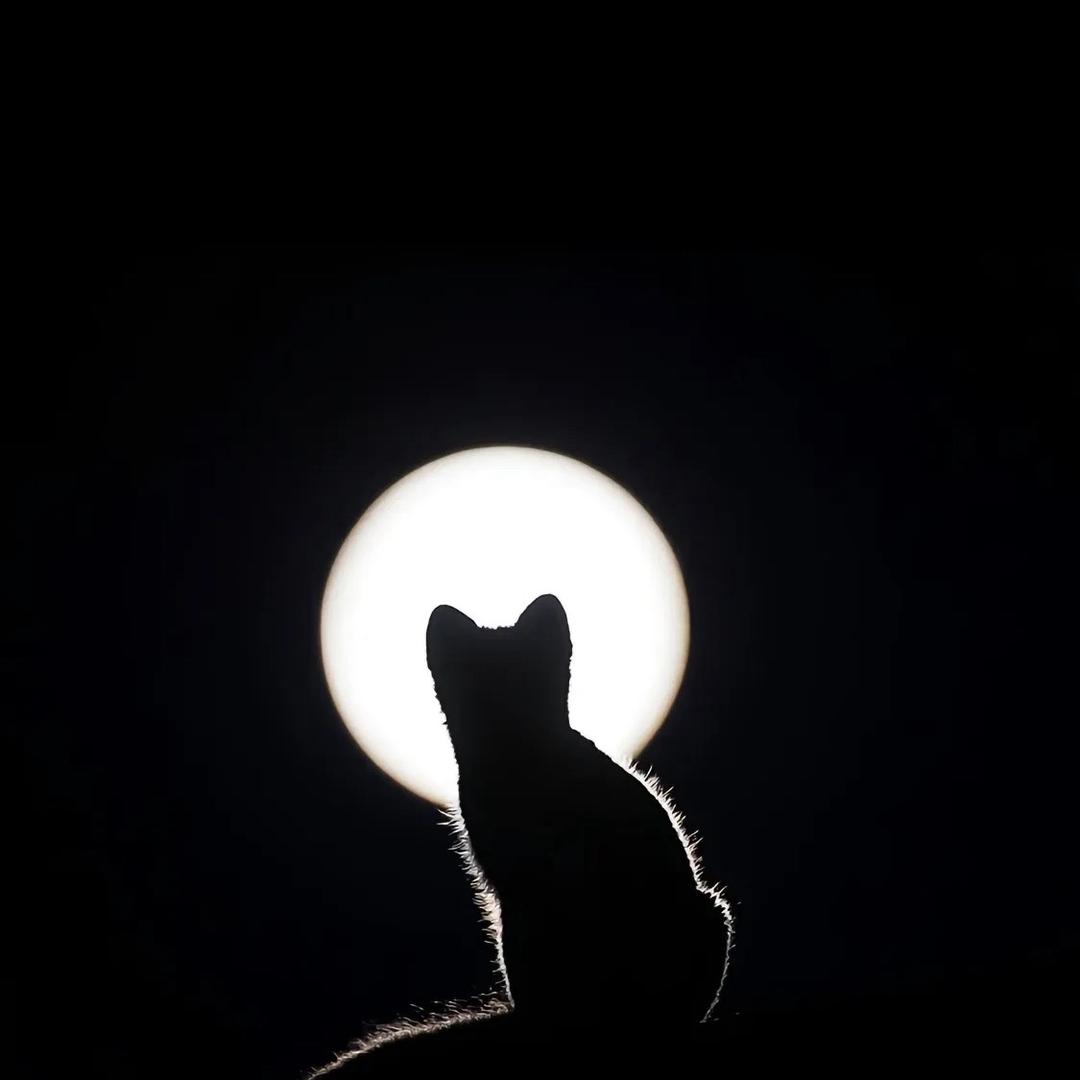 简单か我的脑袋是个小小星球，每天只有你开