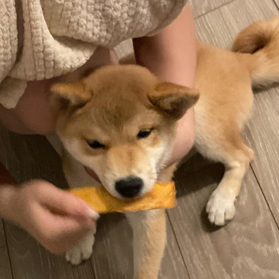反骨贫僧