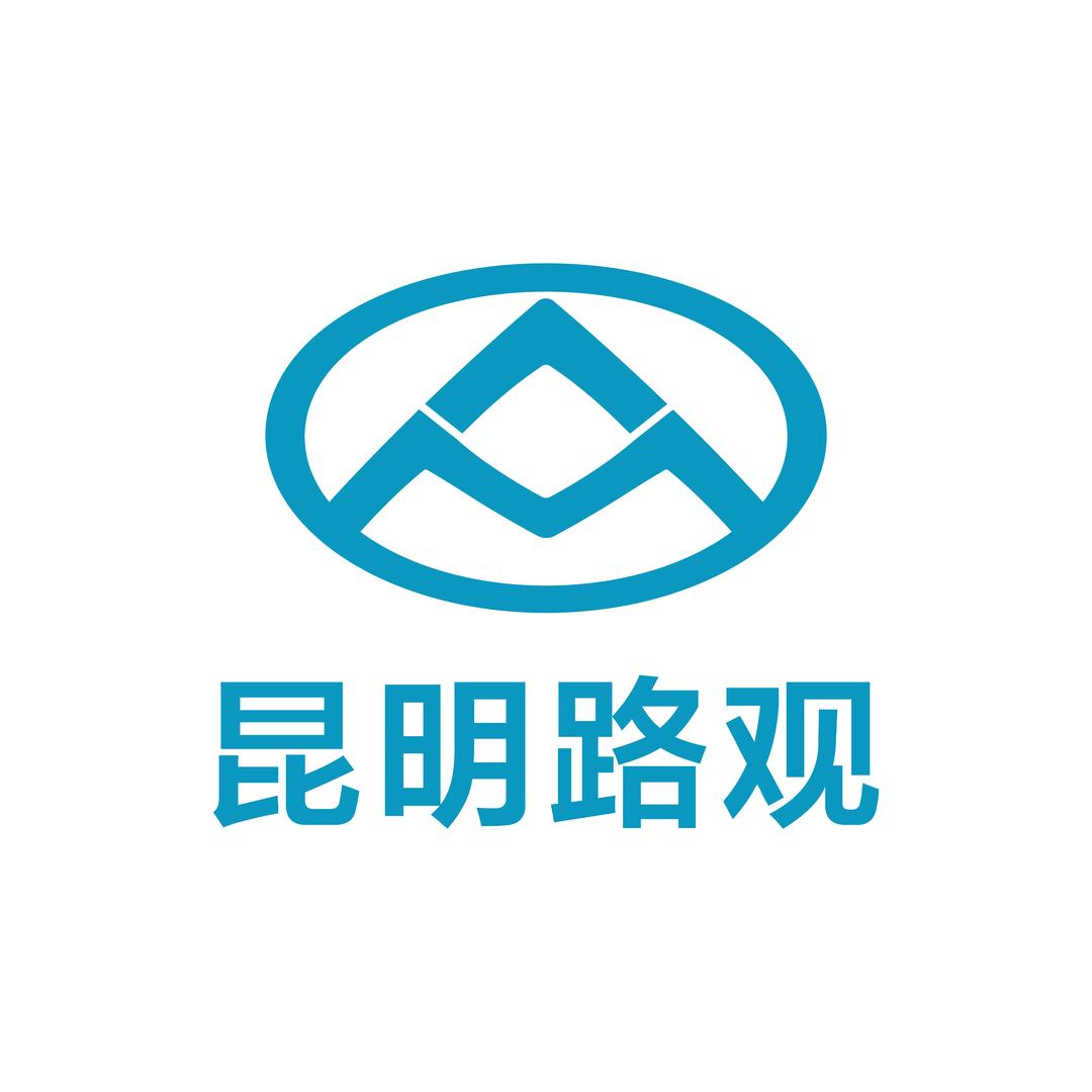 大通新能源超级门店-小赵