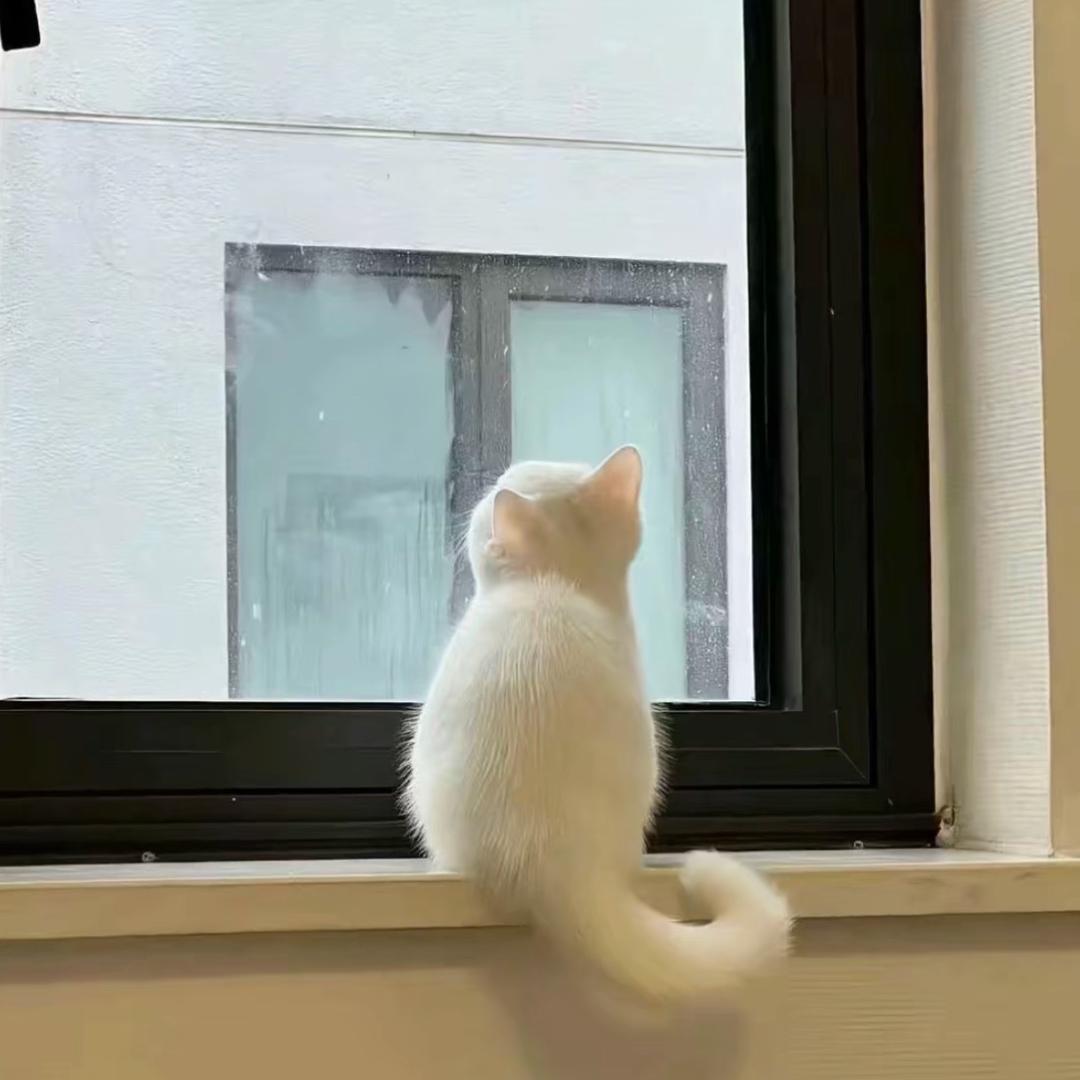 海口美兰区梦雅梵珠宝店（个体工商户）