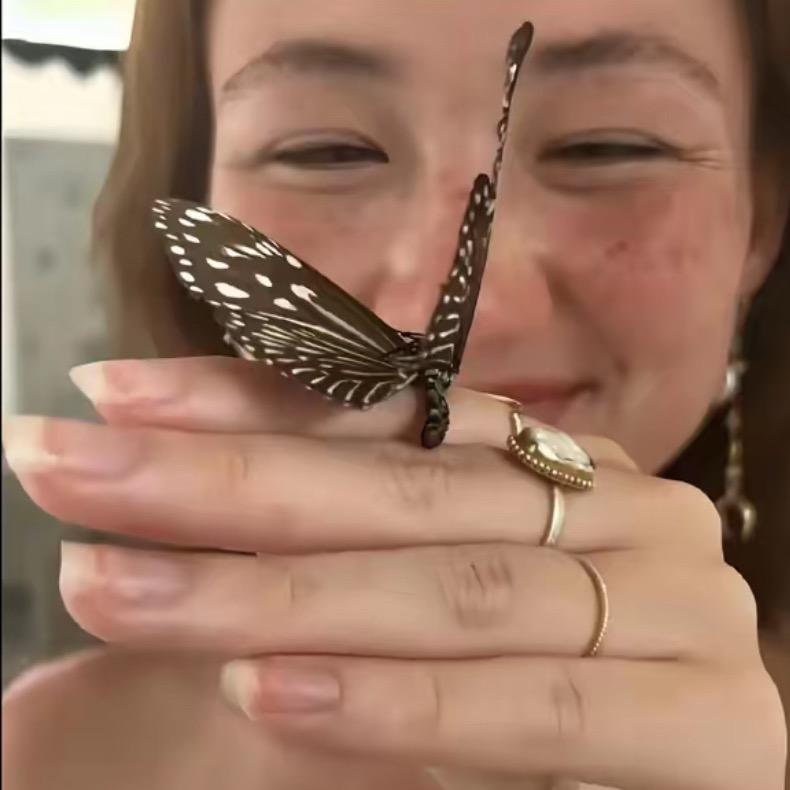金 刚芭比-