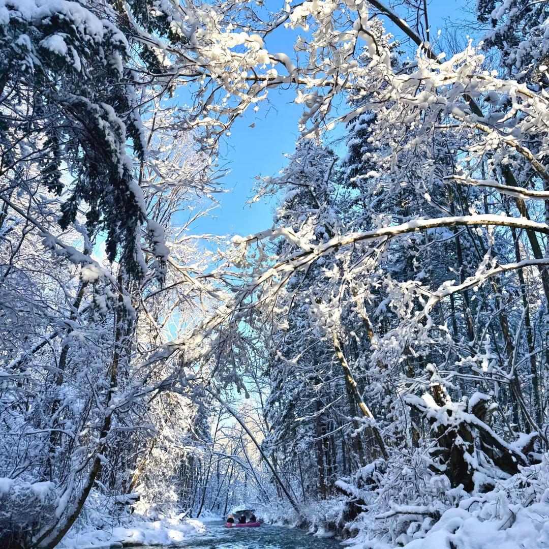 长白山➕延吉（纯玩）