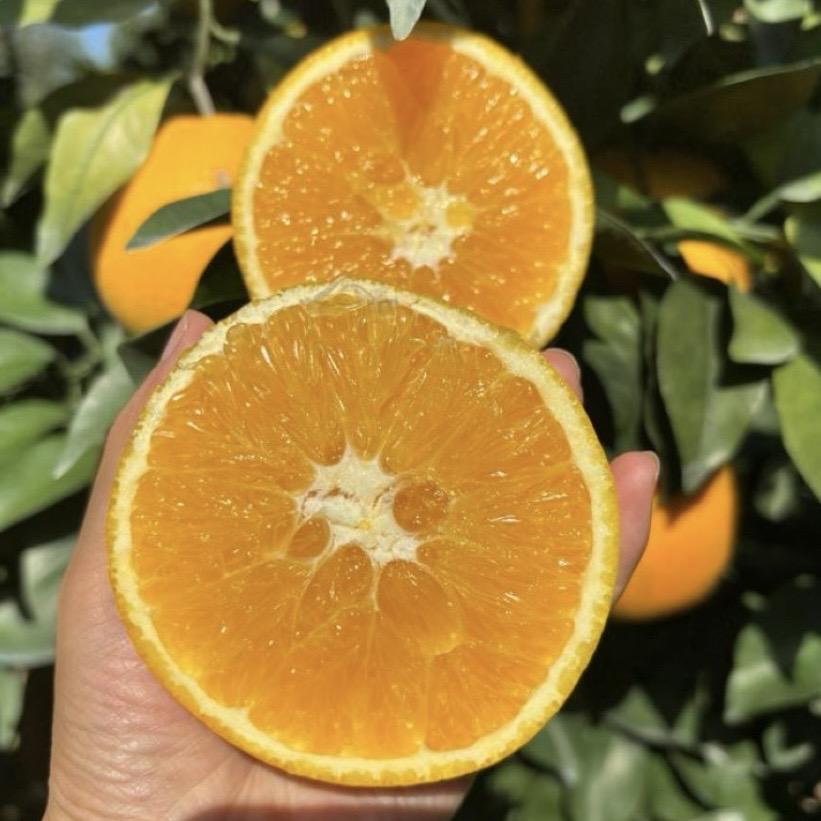 崇义橙之恋果业生活坊