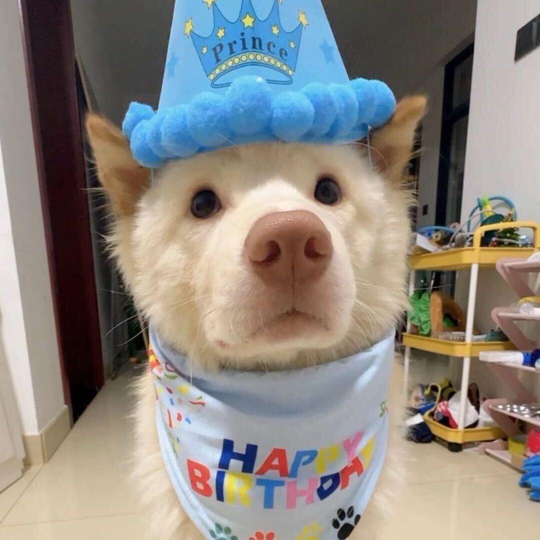 ALi.南科（校园百事通）