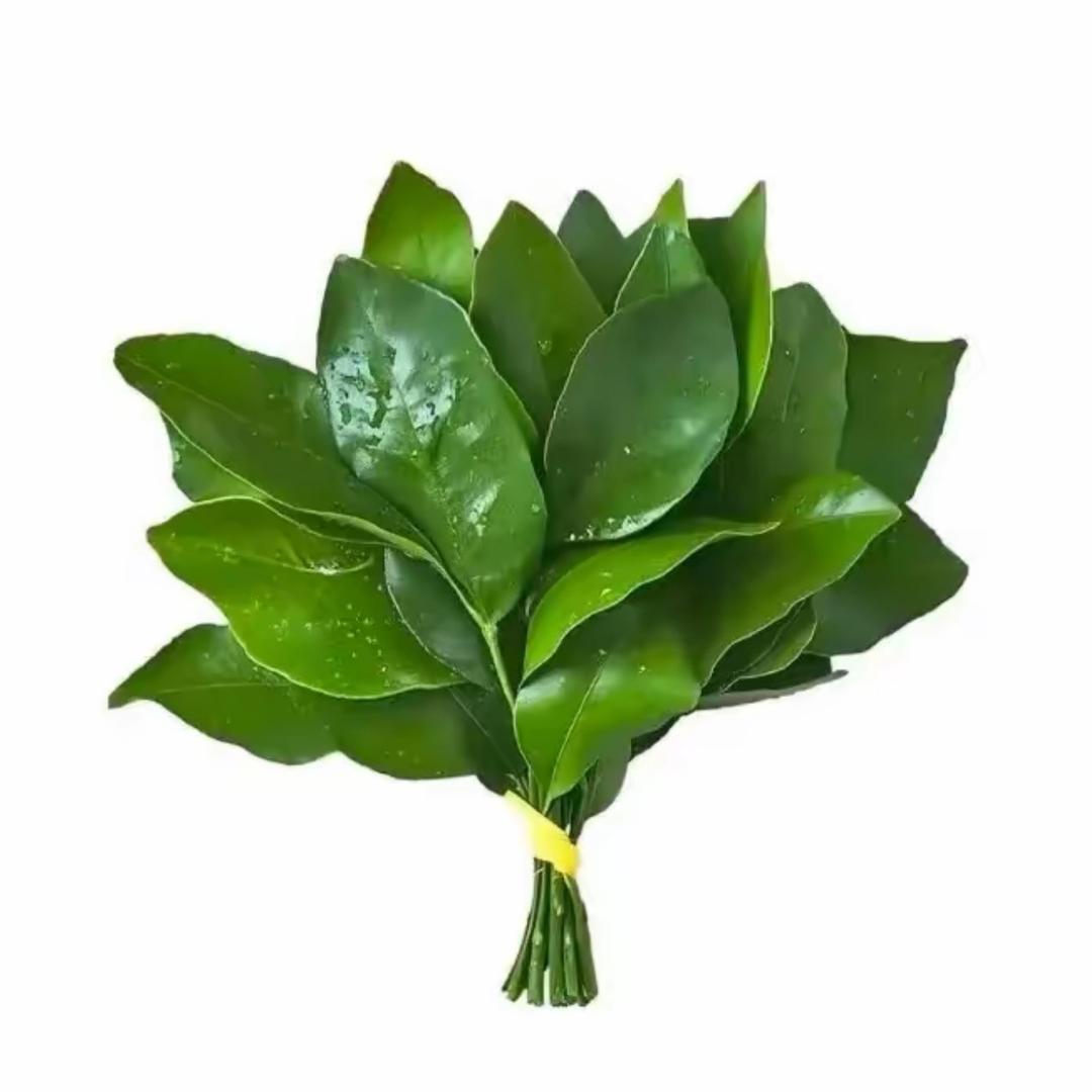 童子涵.