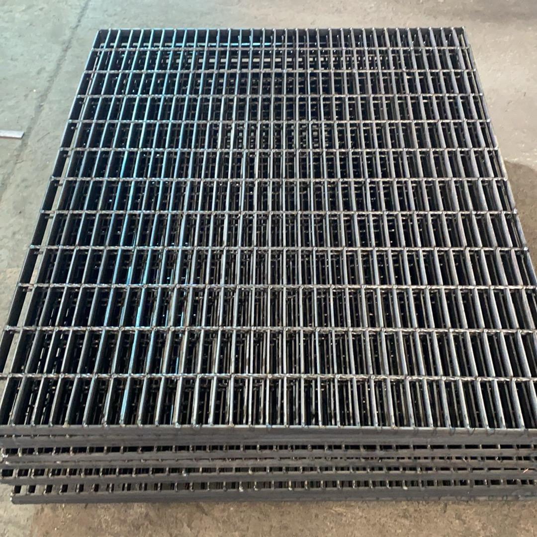 与旭日同行