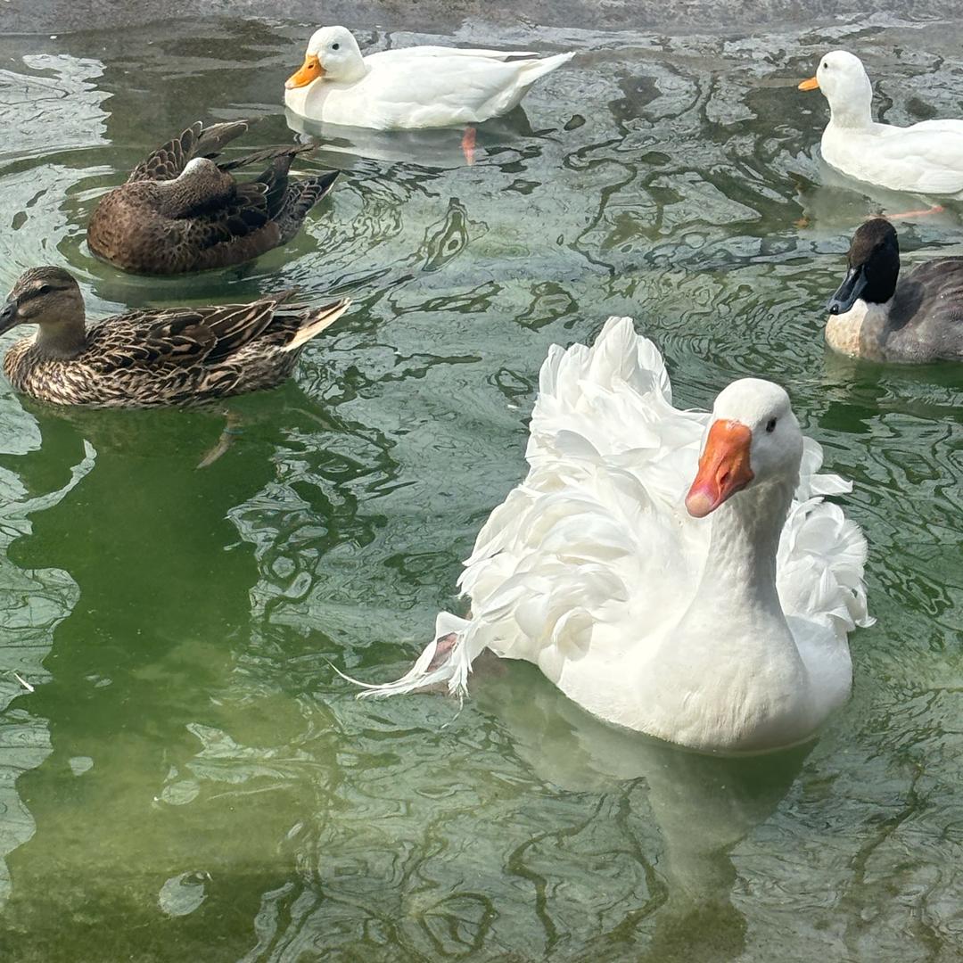 虎趣宠物生活馆