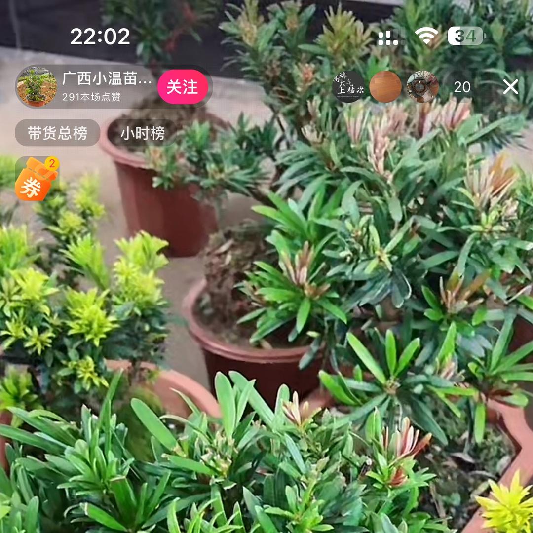 悠悠靓货甄选